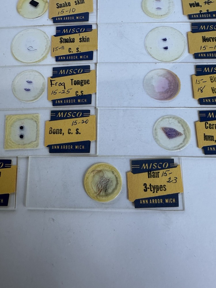 (20 Pack) Michigan Scientific Co (Misco) Microscope Slides Box