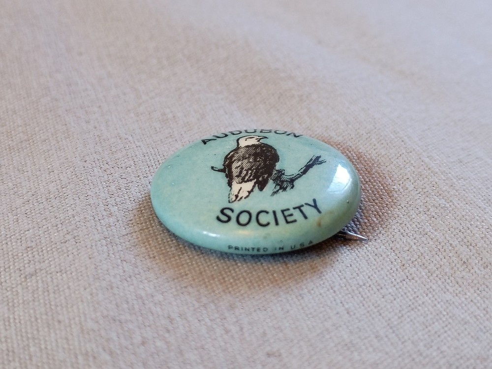 Vintage Audubon Society Bald Eagle Pinback Button.