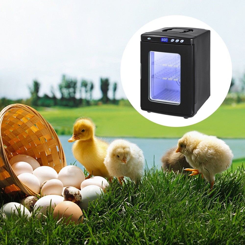25L Multi Shelf Incubator Designed for Maximum Egg Storage Efficiency