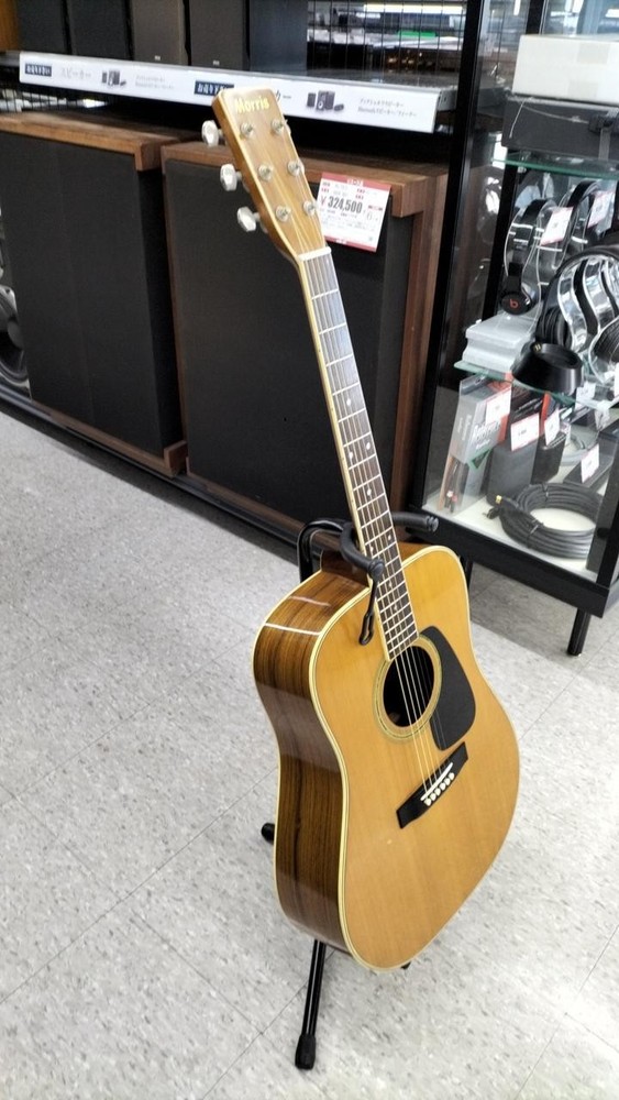 MORRIS MD-510 Acoustic