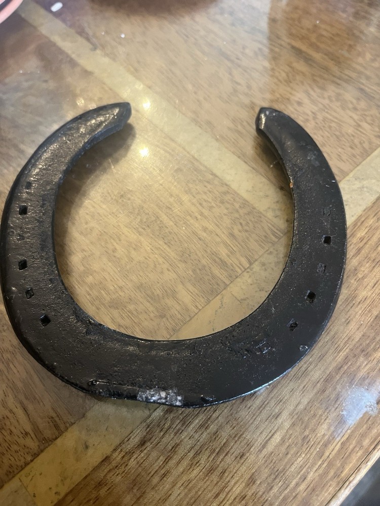 Black Painted Lucky Horseshoe