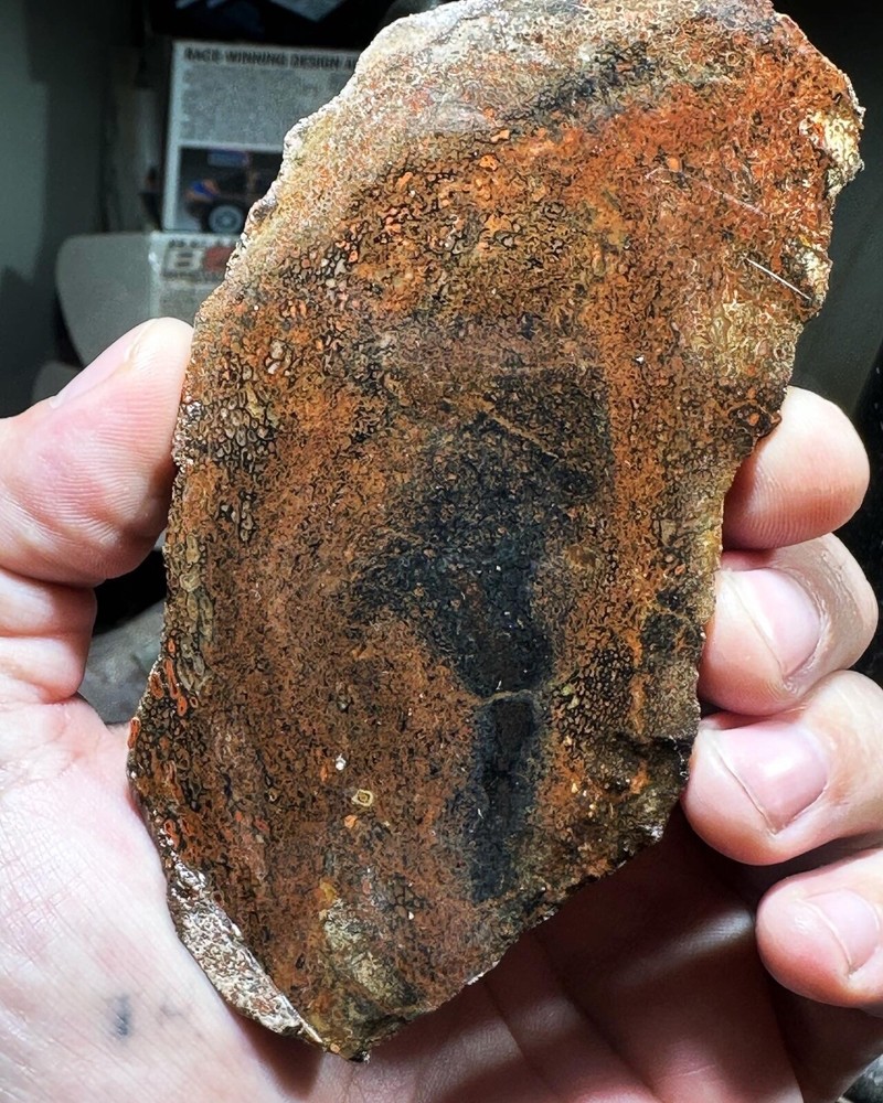 Dinosaur bone rough **hxtled slab.