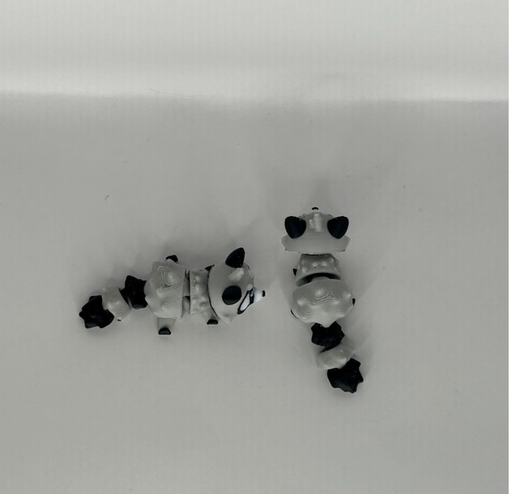 3D Printed Jiggle Pet Raccoon