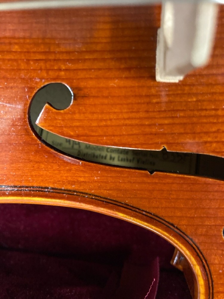 Leon Albert Student Violin 4/4 Contate Case and Bow