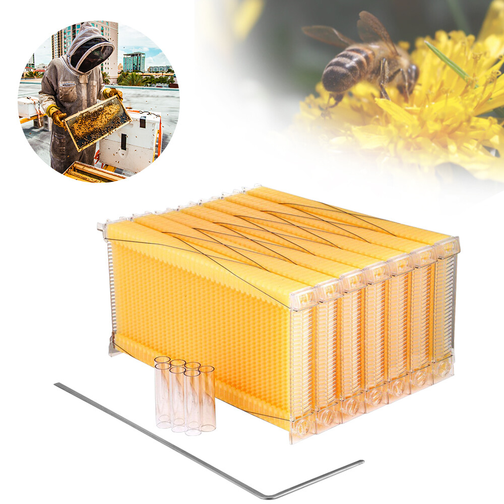 7x Auto Plastic Beekeeping Frames Honey Comb Frames For Beehive House Boxes