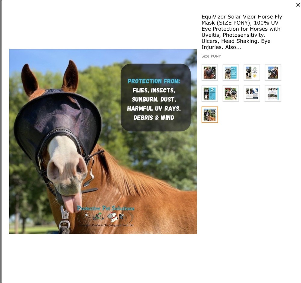 horse care grooming