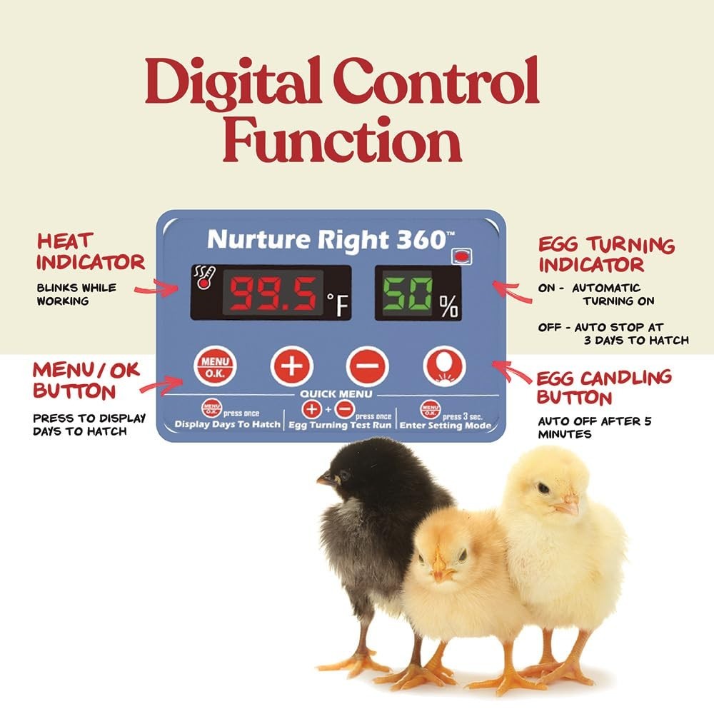 Complete Egg Incubator System for Chickens, Ducks, and Pheasants with Visibility