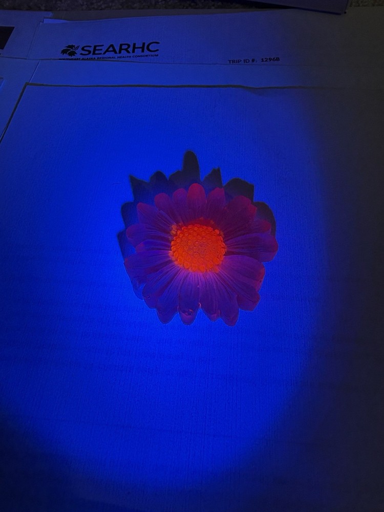 Uv Reactive, Resin Flower Kitchen Magnet