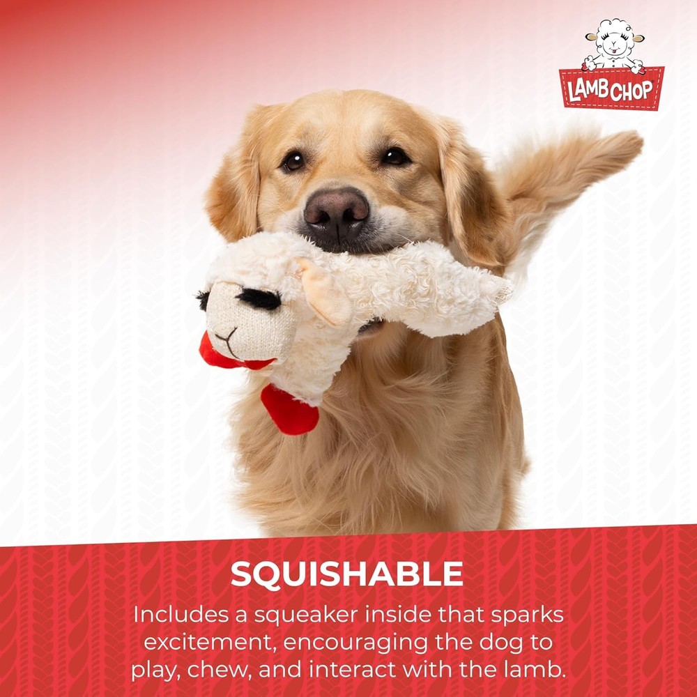 10" with 5 Squeakers, Soft & Cuddly