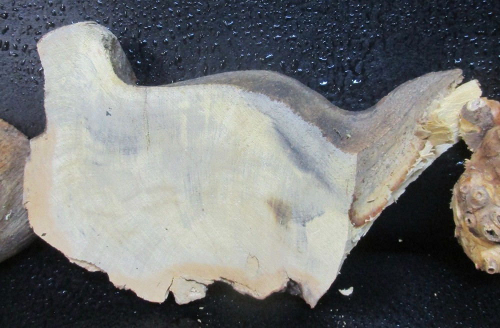 3pc Buckeye Burl slabs/cut offs #D558 assorted sizes