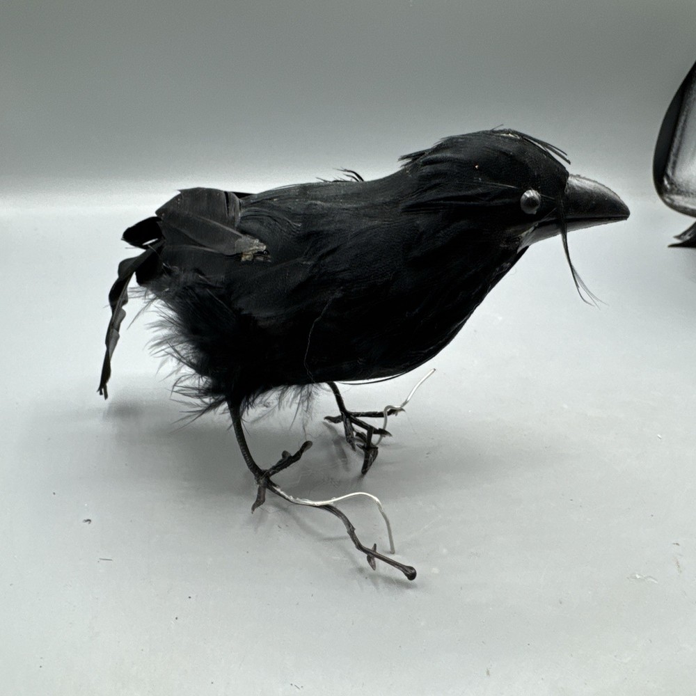 5 PCS Black Feathered Crows Halloween Ravens