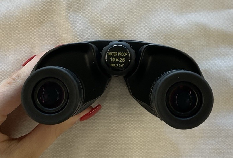 leupold bx 1 rogue binocular