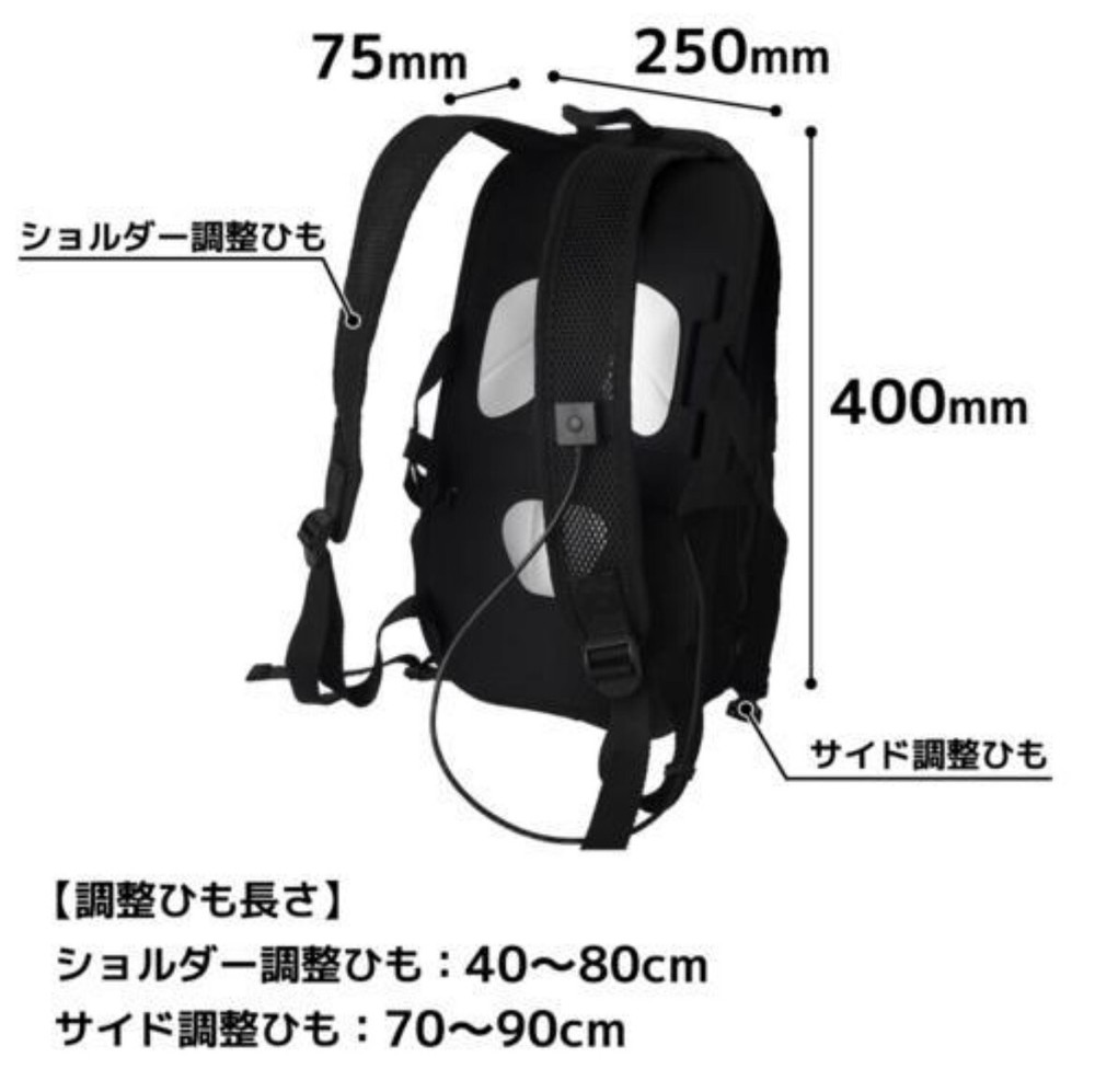Sanko Peltier Cooling Backpack Cooler Japan