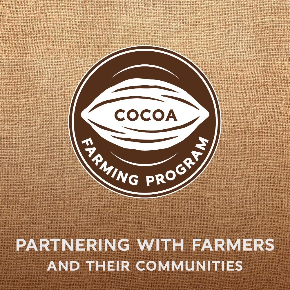 Premium Baking Chocolate Chips 60% Cacao Bittersweet, 20 Ounce Bag