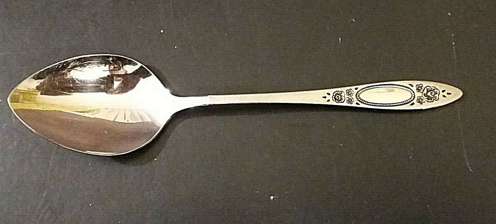 Oneida Vignette Stainless Oval soup spoon 6 7/8"