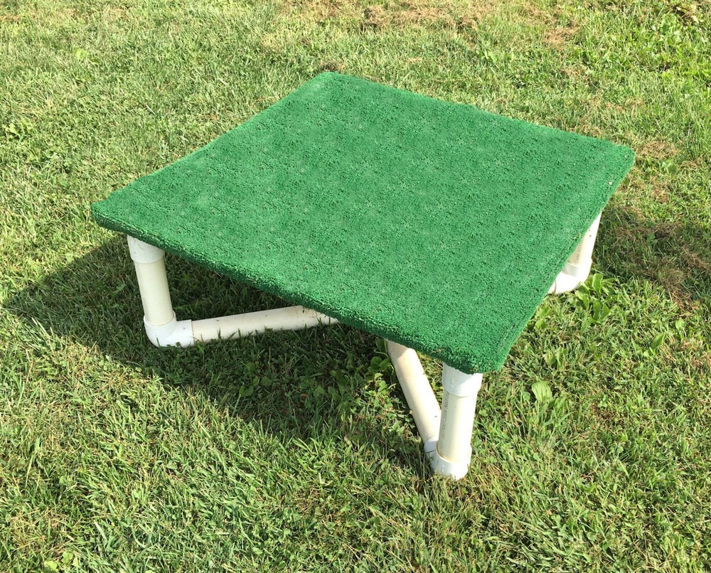 dog agility training starter kit with 4 jumps and table