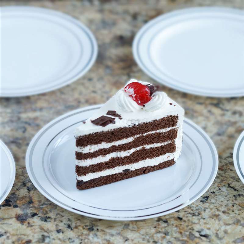 Plastic WHITE Silver Rim 10" PLATES Disposable Party Wedding Buffet Tableware