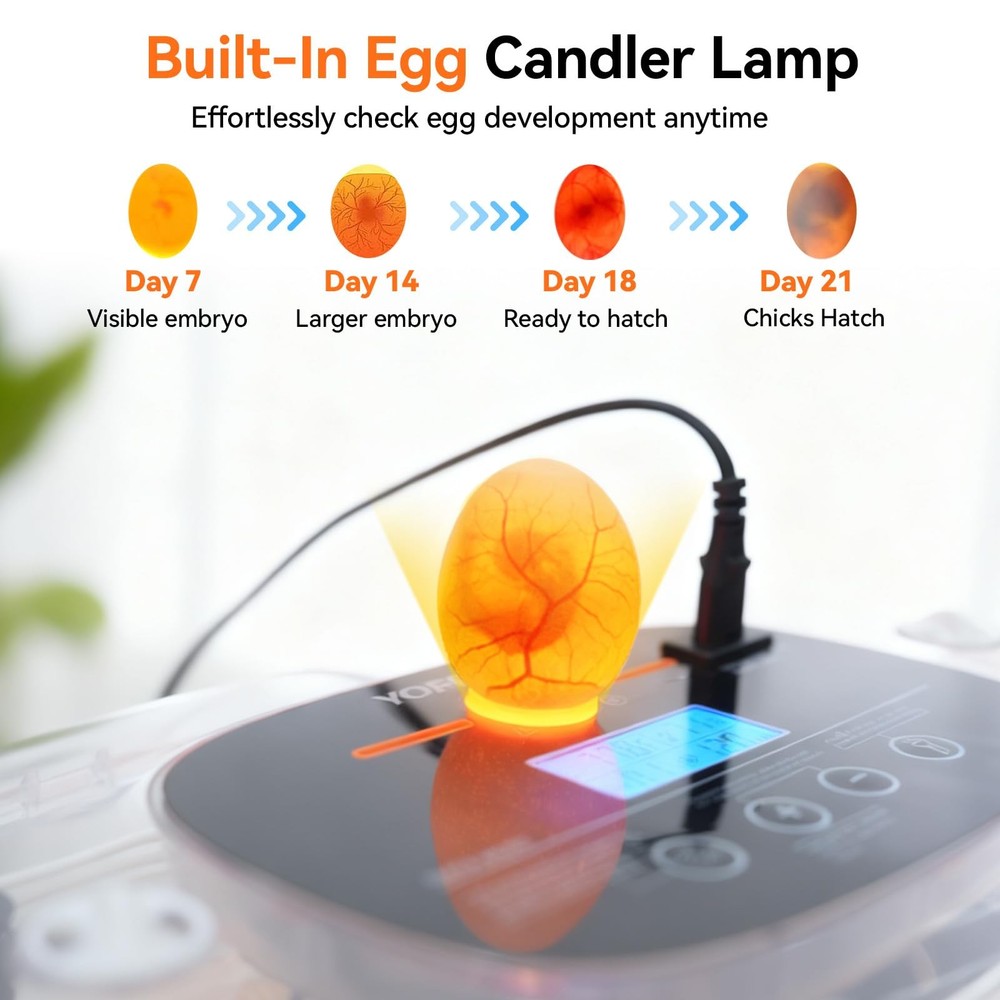 Incubators for Hatching Eggs, 24 Egg Incubator, Automatic Turner with...