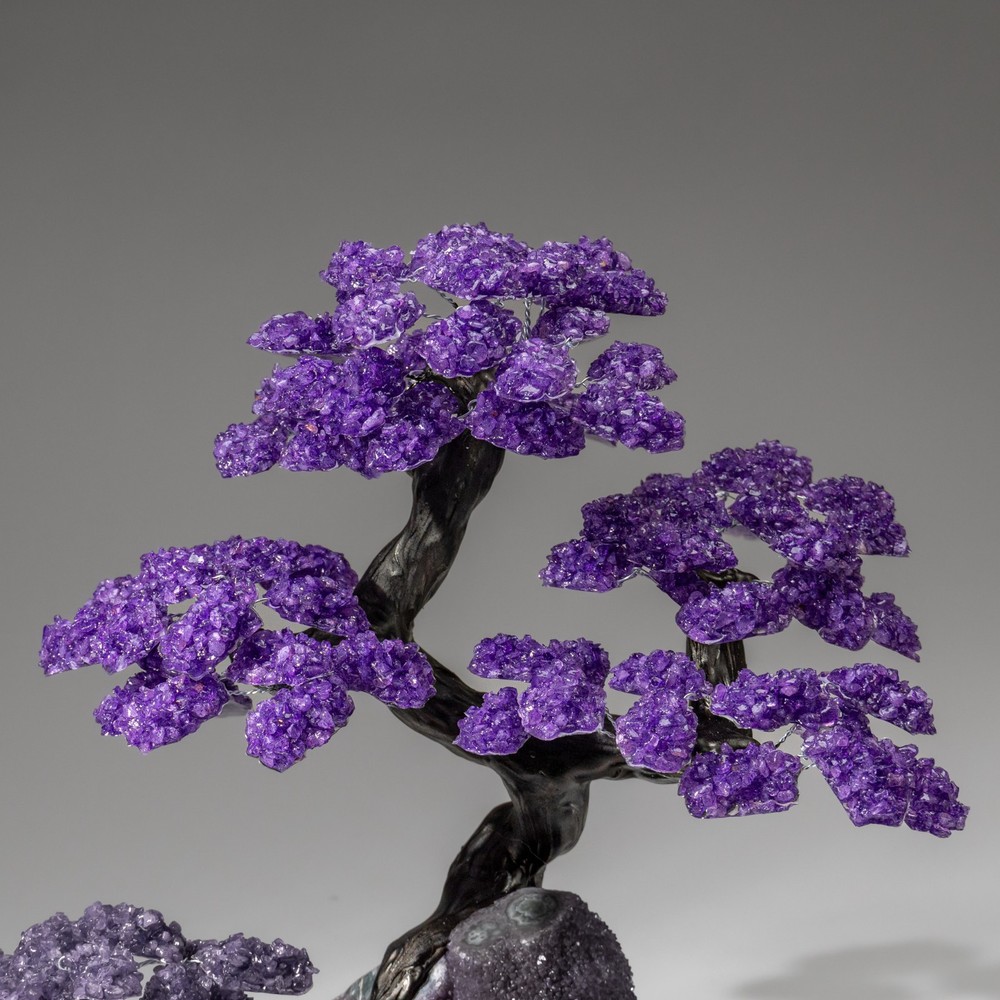 Custom Designed - Genuine Amethyst Clustered Gemstone Tree on Amethyst Matrix
