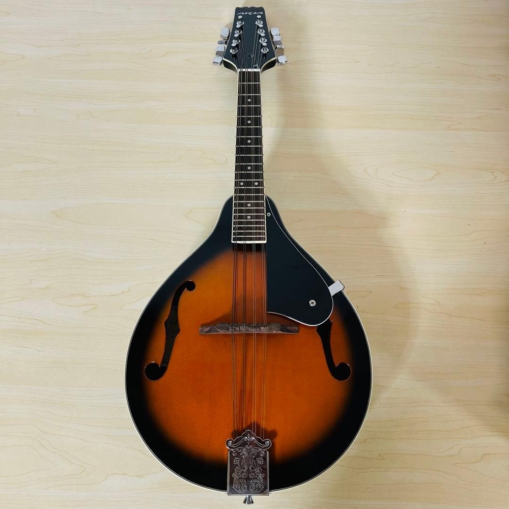 ARIA AM-20 Mandolin 8 string with hard case