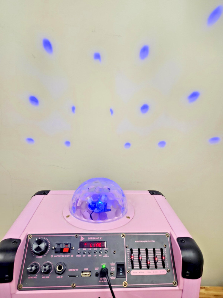 Portable Karaoke Microphone Machine Speaker Disco Ball Bluetooth Singing System