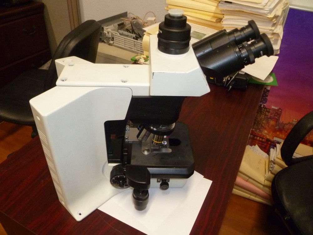 Olympus BX41 trinocular microscope