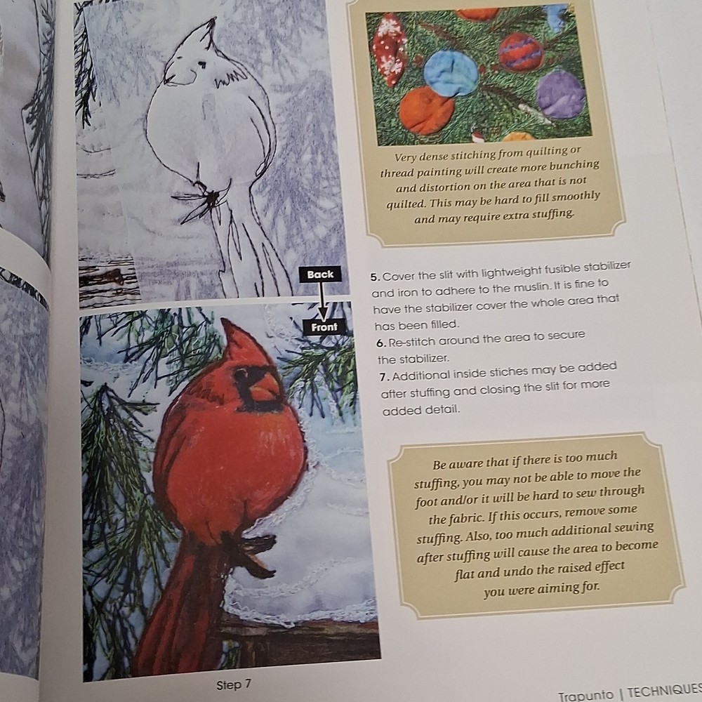 Creating Art Quilts with Panels Joyce Hughes includes Panel and Thread KIt