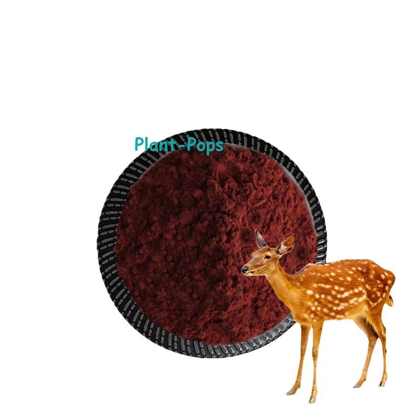 100g Pure Deer Blood Extract Powder