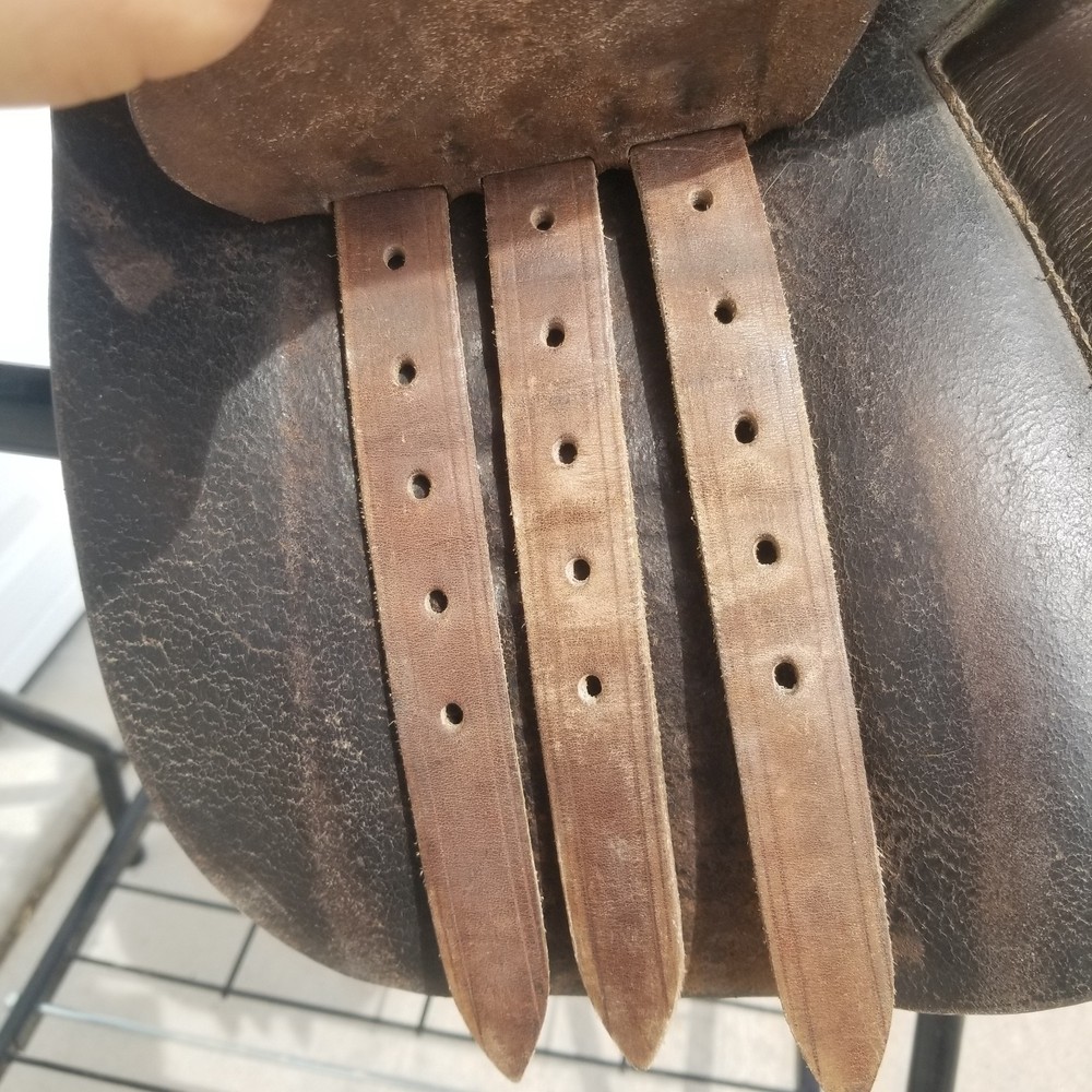 Collegiate All Purpose Saddle 16 1/2" Medium, Deep Seat