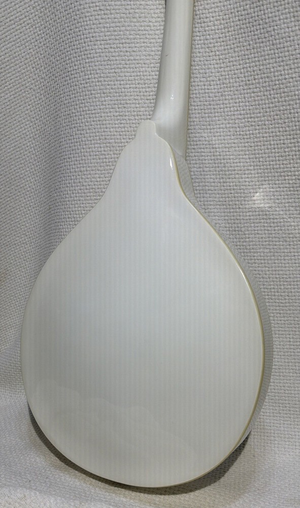 Stagg Acoustic-electric bluegrass mandolin White