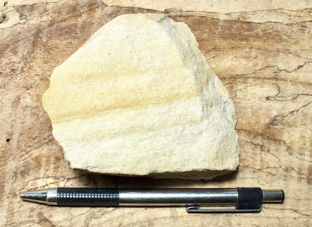 sandstone - arkosic fine grained Miocene sandstone - hand/display specimen