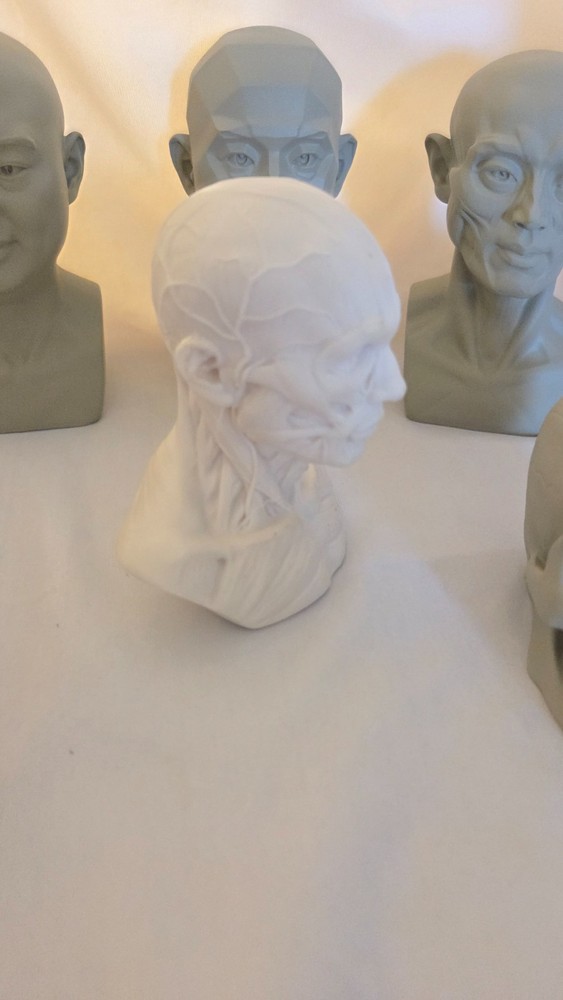 Mini Drawing Aid Model Set -- Hands, Head, and Skull