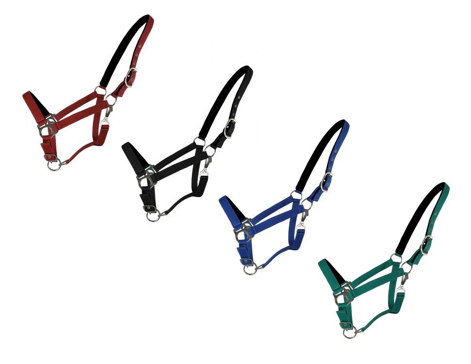 Neoprene Lined 3-Ply Nylon Halter