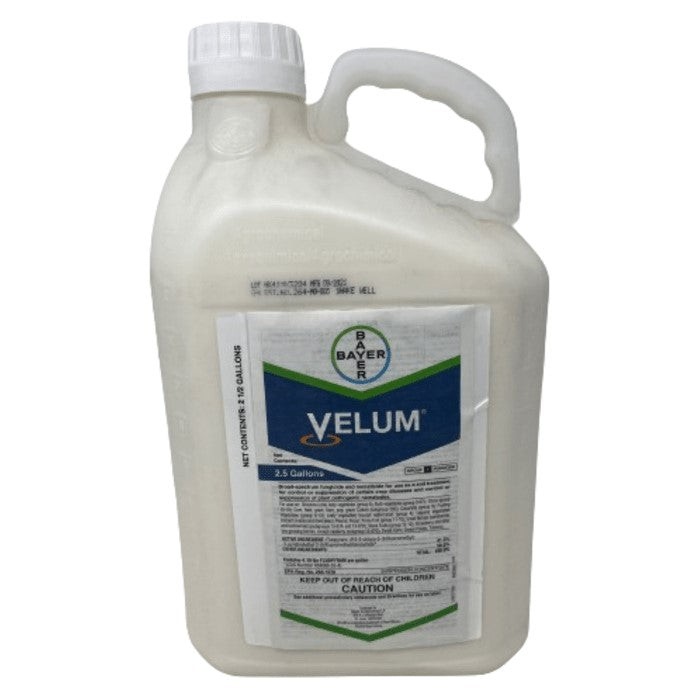 Velum GAL