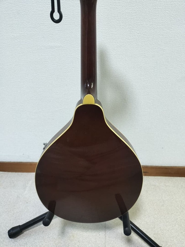 Samick Samick Mandolin sm20ts