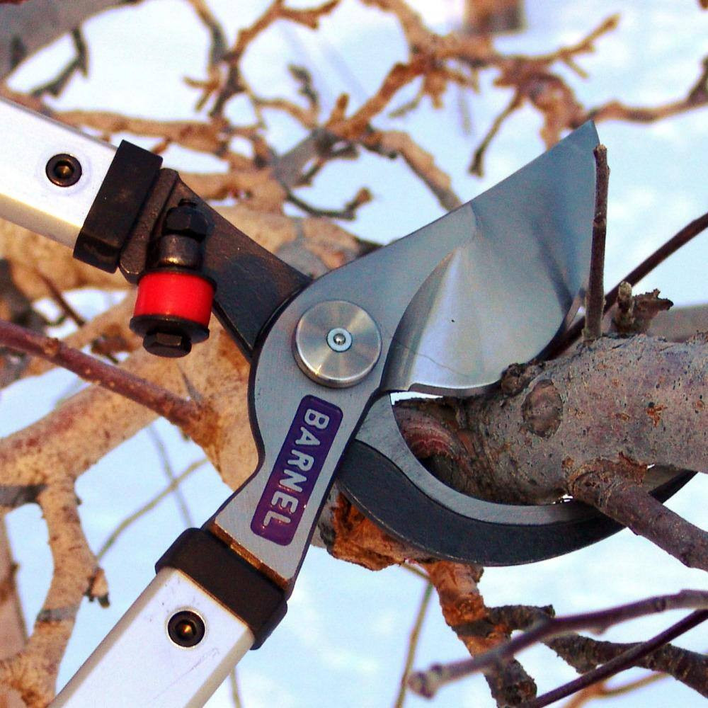 26 In. Professional Orchard By-Pass Lopper