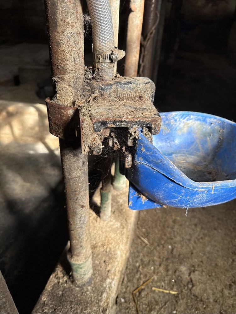 Dairy Cow Drinking Cup For Stall Barn