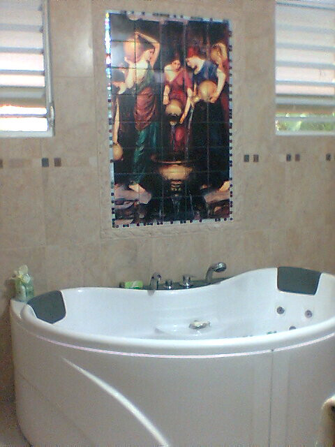 Art Mural Ceramic Waterhouse Backsplash Bath Tile #83