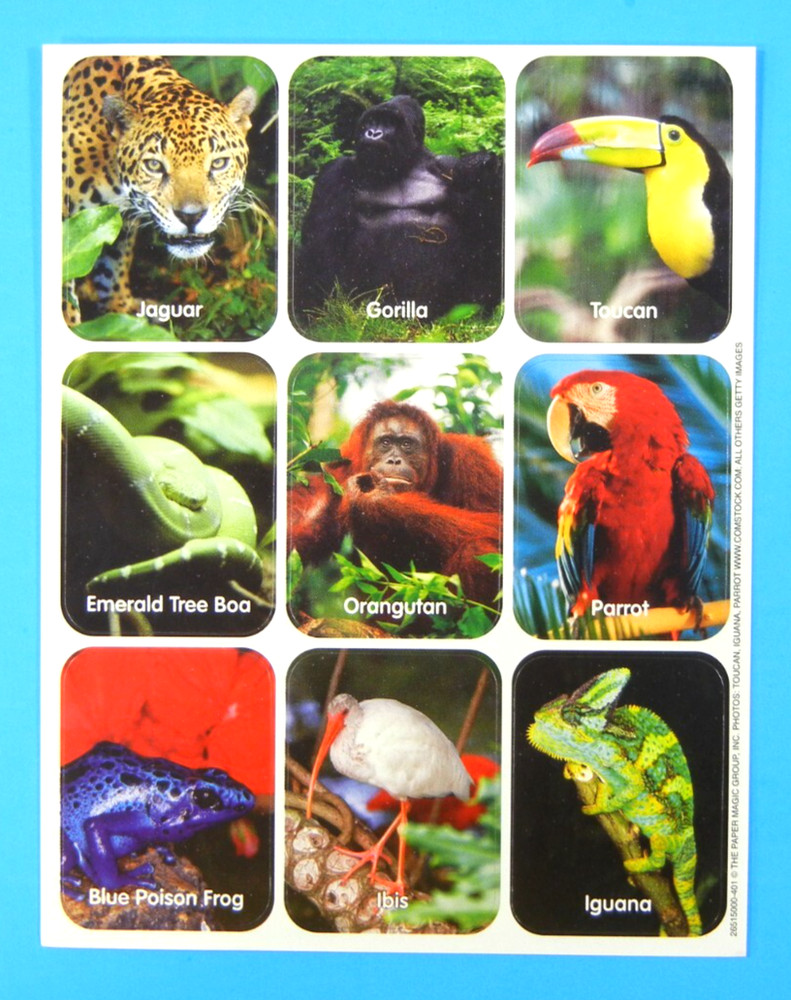 Vintage Eureka Rainforest Animals Sticker Sheet