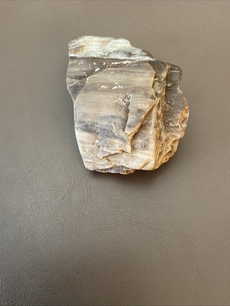 Petrified Wood