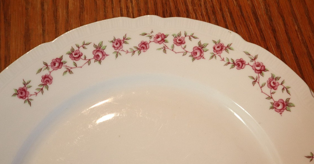 2pcs Bohemia "ANTOINETTE" Pattern Czechoslovakia Dinner Plates ~ 10 1/4"