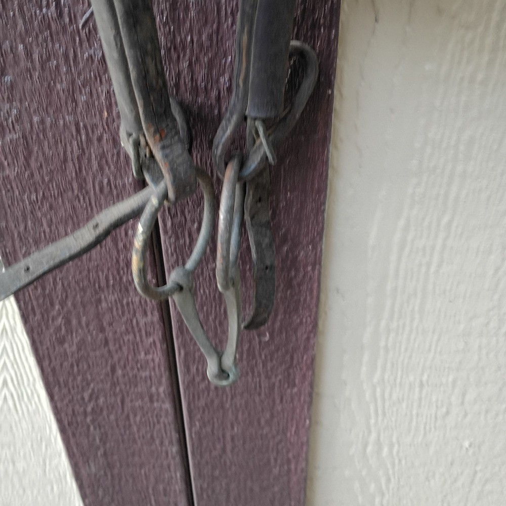 Vintage Driving Bridle For Decor Only