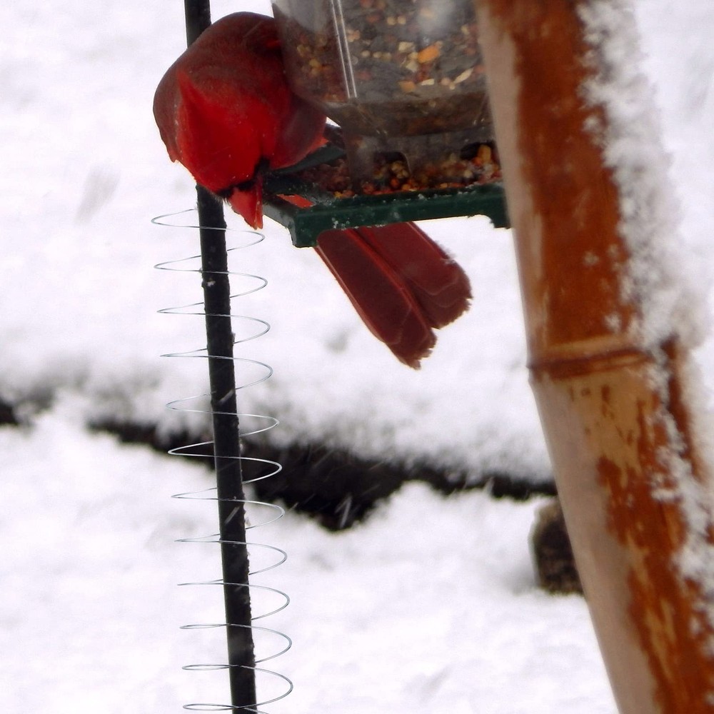 3 Pieces Squirrel Baffle Metal Spring Device Barrier Silver