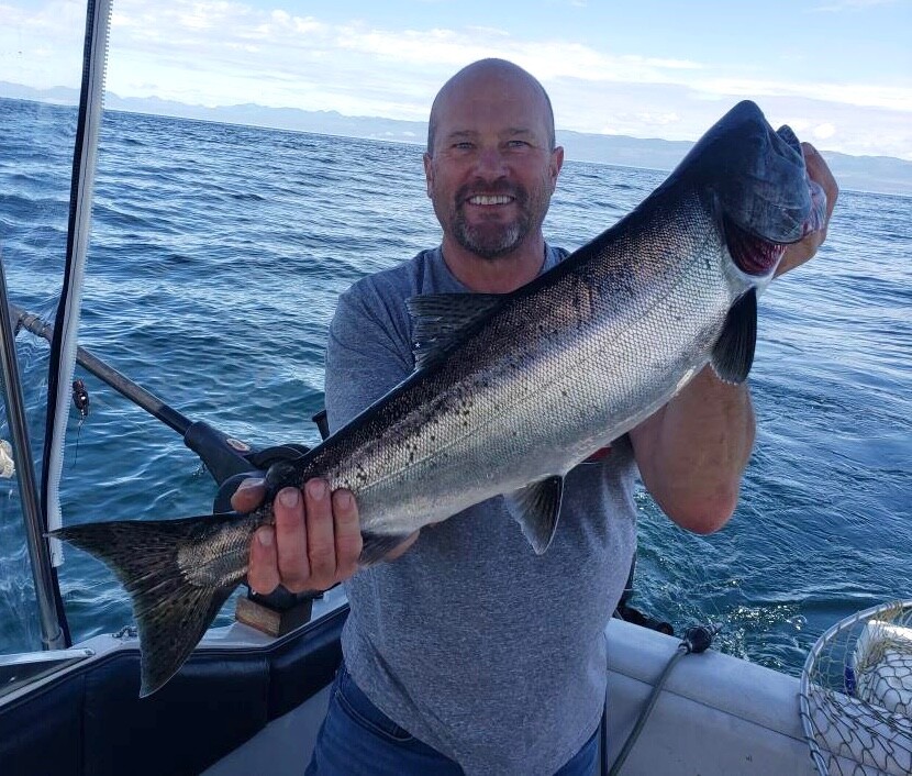 Salmon Dodgers (4): "SALMON DADDY" Assortment