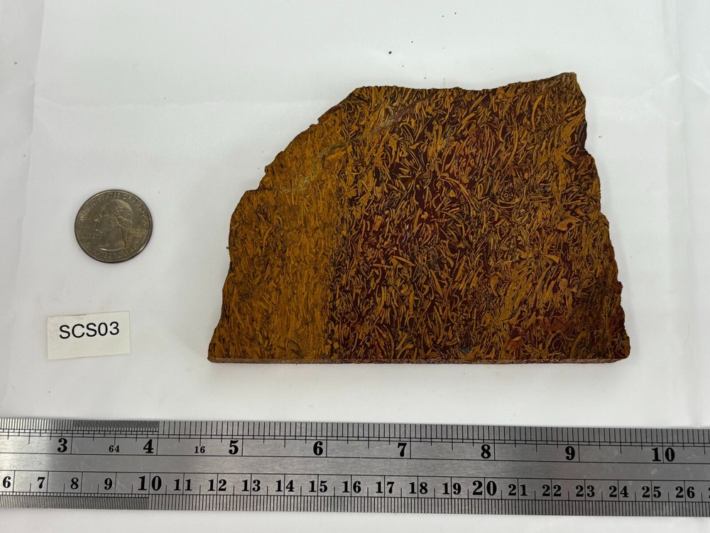 Script Stone Jasper Slab Cabbing Lapidary Collecting Combo Ship Avail