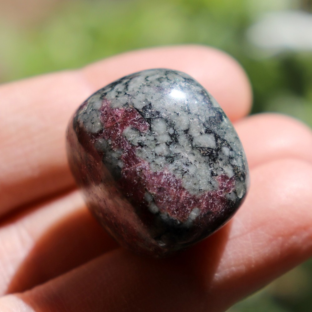 Polished Eudialyte, Fluorescent Mineral (EUD23)