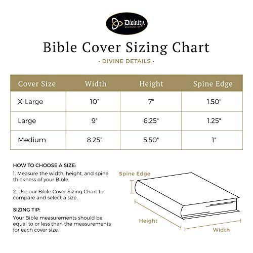 Divinity Boutique "For I Know The Plans" Multicolor Bible Cover Case