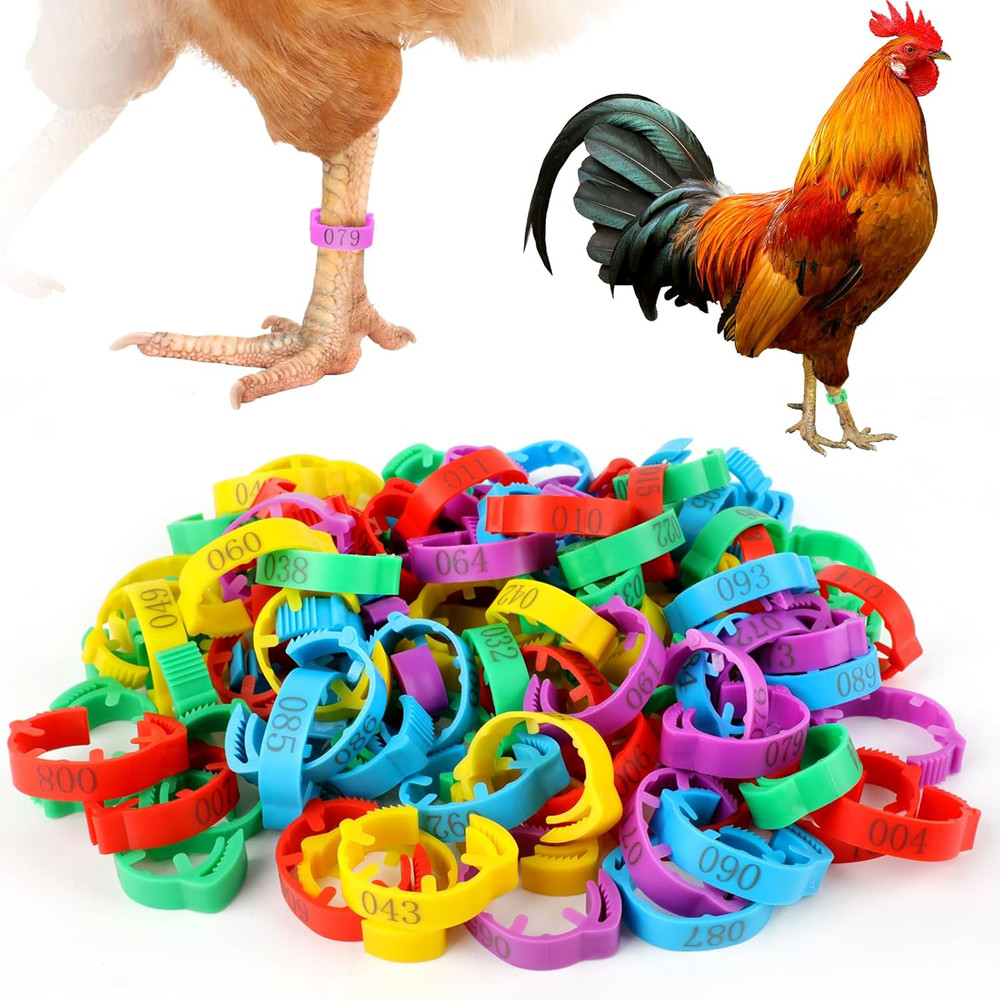 100 Pcs Adjustable Chicken Leg Rings, Multicolor Numbered Chicken Identification