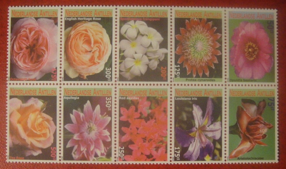 Netherlandse Antilles 2010. Flowers. Mint Unhinged.