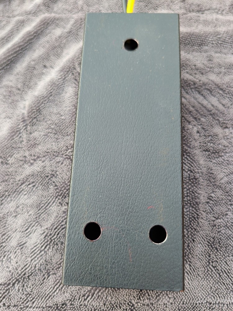 Texas Star Skeleton 100 Amplifier